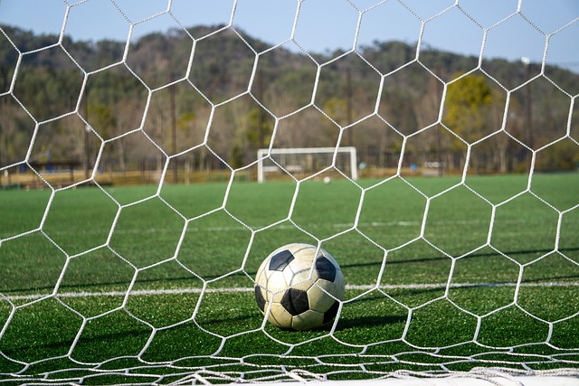 展现了极强 展现了极强