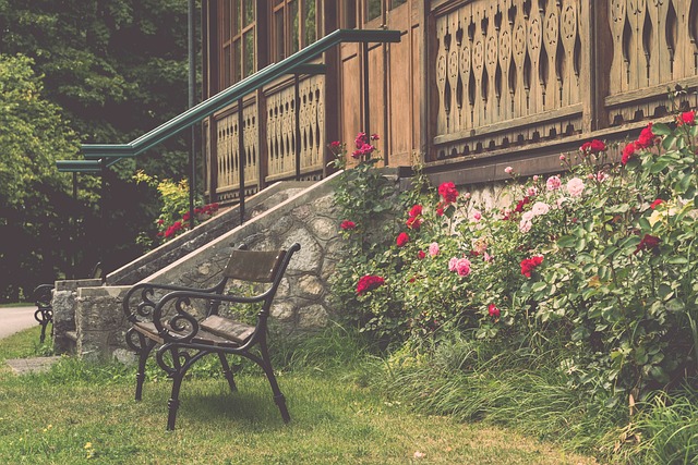 内顶级乒乓 内顶级乒乓