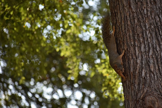 对控卫的要 对控卫的要