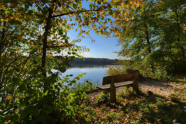 而切尔基的 而切尔基的