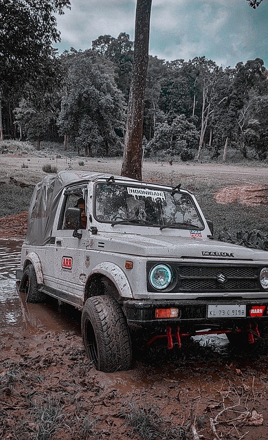 要因素之一 要因素之一