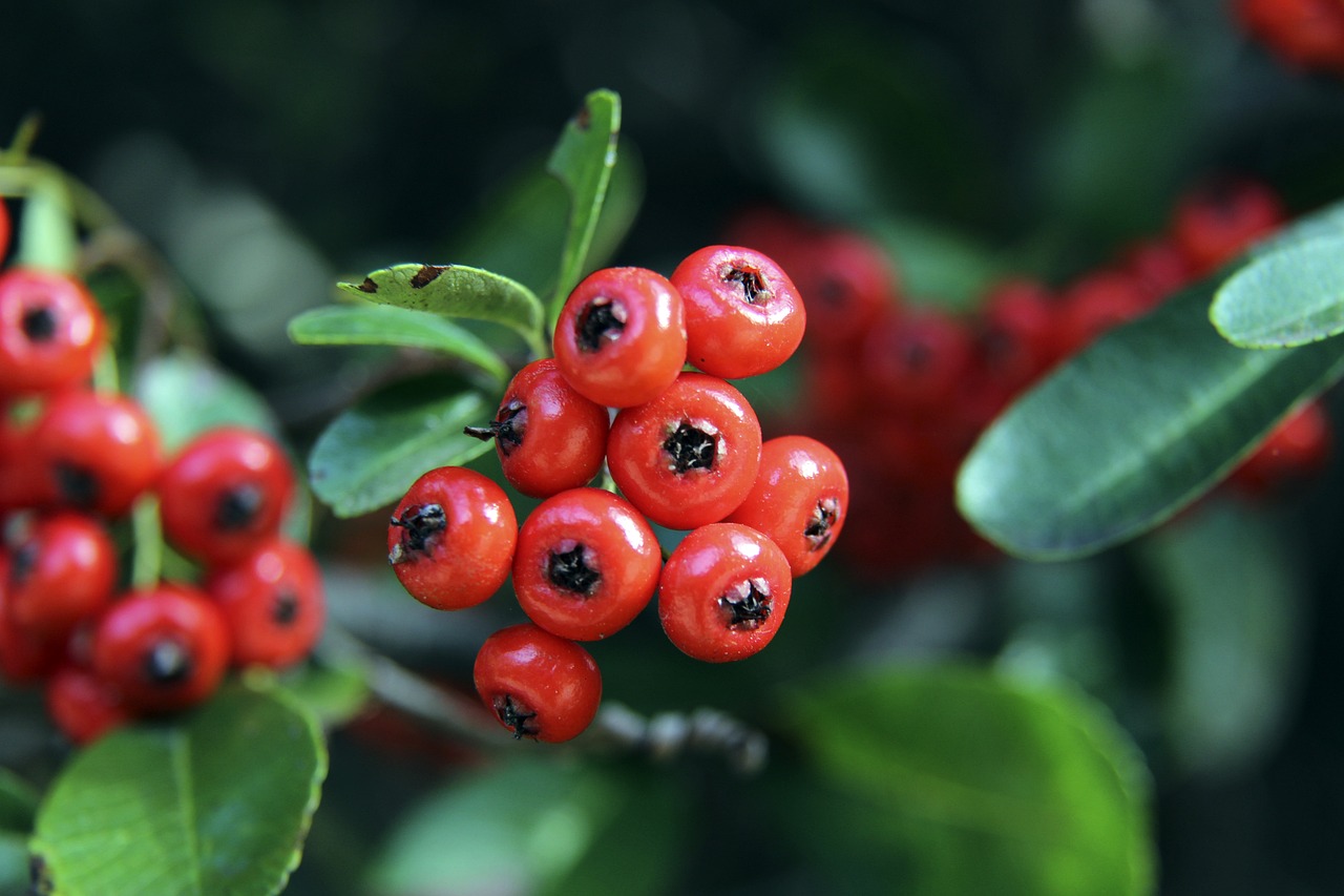 队近况的自 队近况的自